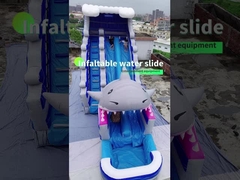 Slide Air Inflatable OEM 0.55Mm PVC Anak-anak Slide Taman Air Dengan Kolam Renang