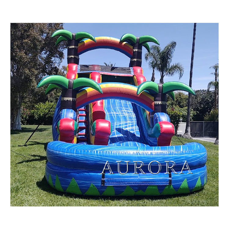 Bouncy Giant Inflatable Water Slide Untuk Orang Dewasa Wet Dry Pool Water Slides 18ft