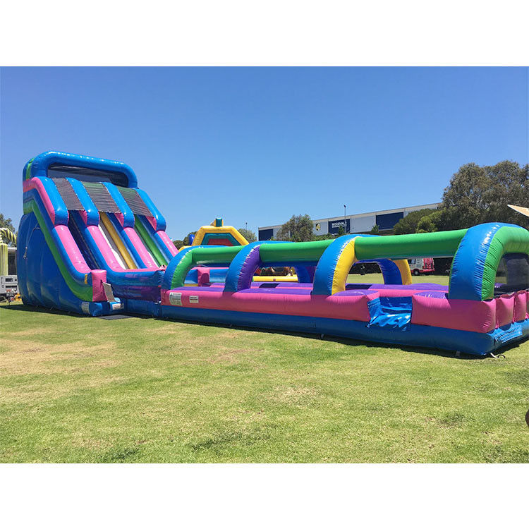 Air Inflatable Slide Jumping Slide Party Pvc 18ft Dolphin Water Slide Untuk Kolam Renang